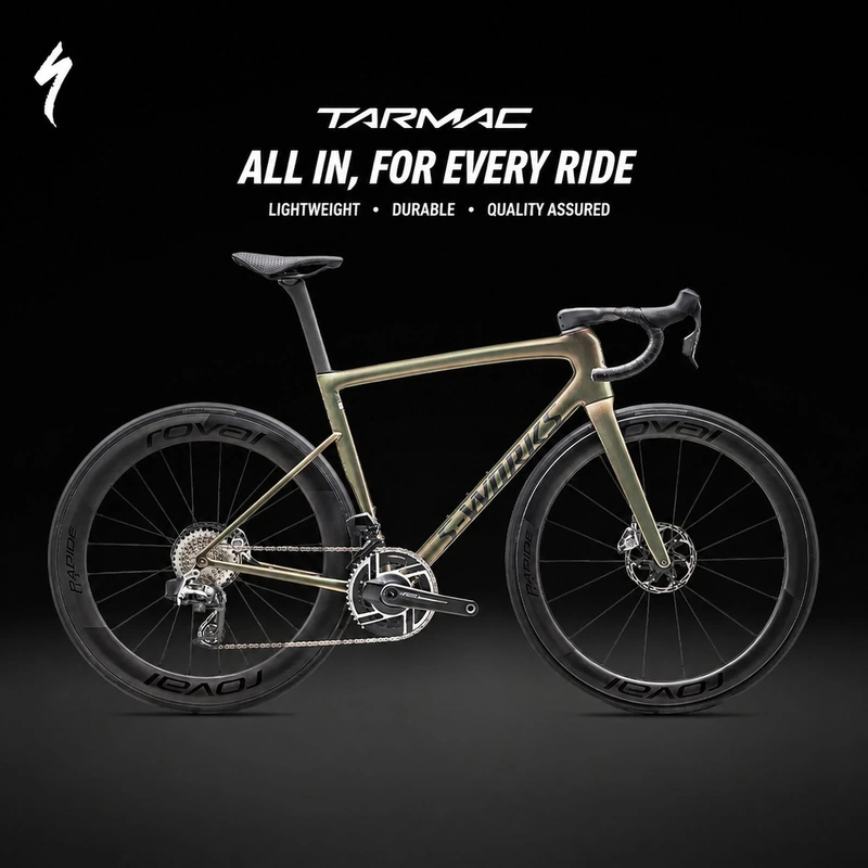 Electric Assist Bicycle RF-036