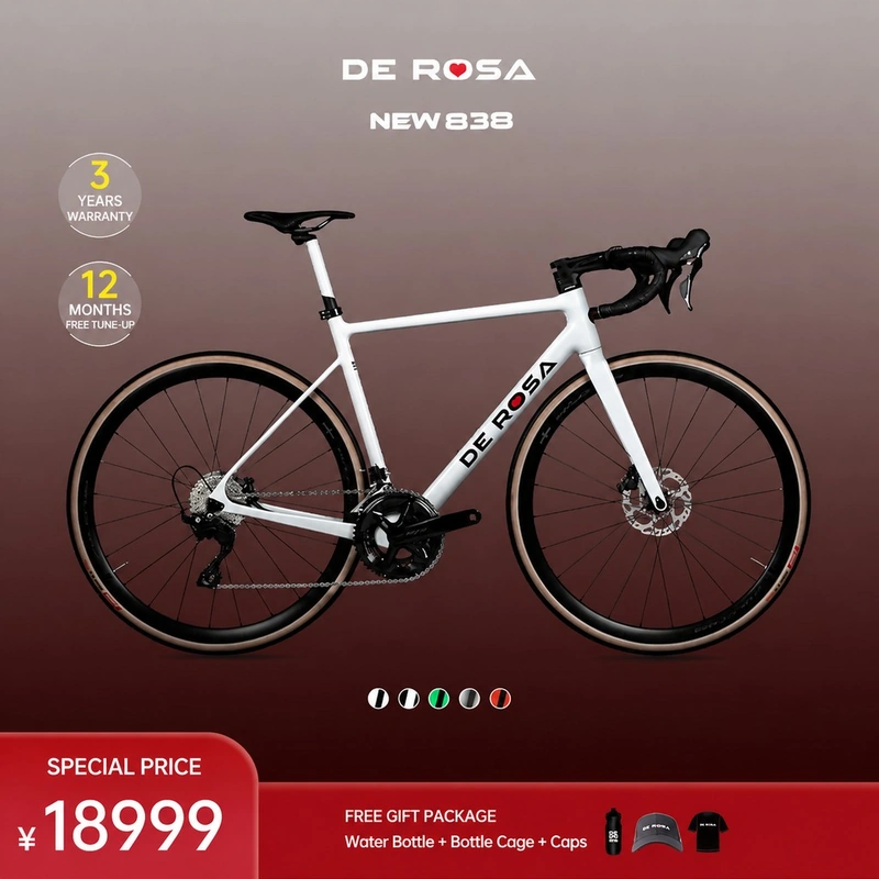 Folding City Bicycle RF-023